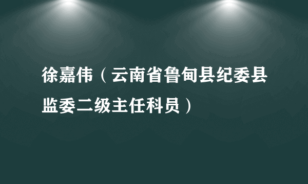 徐嘉伟（云南省鲁甸县纪委县监委二级主任科员）