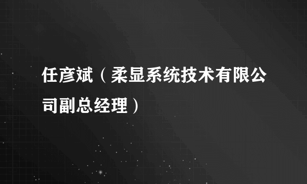 任彦斌（柔显系统技术有限公司副总经理）