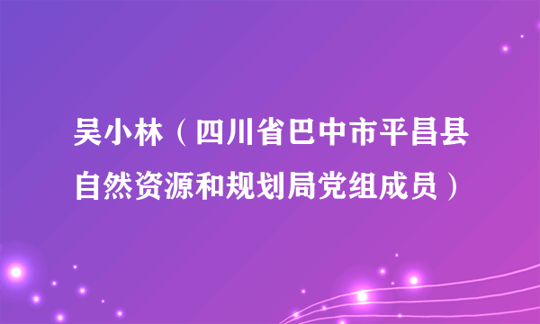 吴小林（四川省巴中市平昌县自然资源和规划局党组成员）