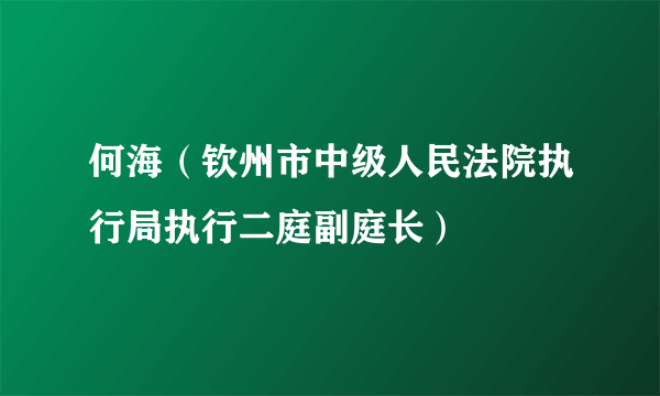 何海（钦州市中级人民法院执行局执行二庭副庭长）