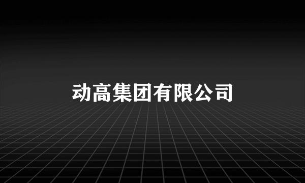 动高集团有限公司