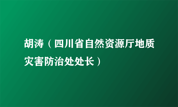 胡涛（四川省自然资源厅地质灾害防治处处长）