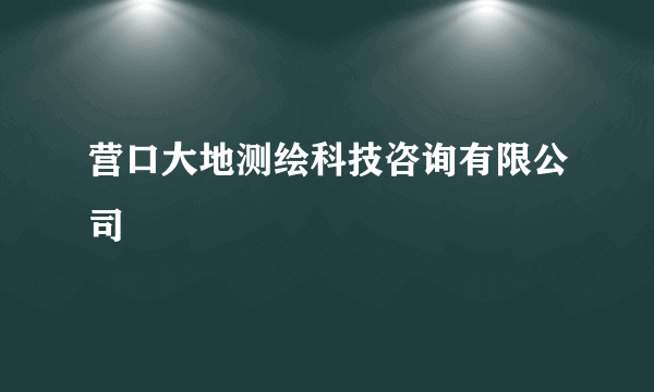 营口大地测绘科技咨询有限公司