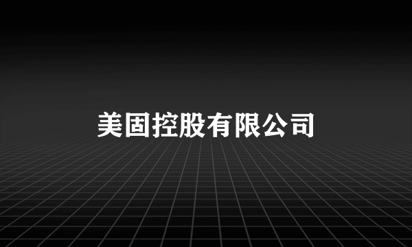 美固控股有限公司