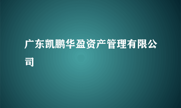 广东凯鹏华盈资产管理有限公司