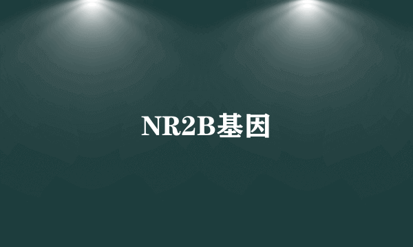 NR2B基因