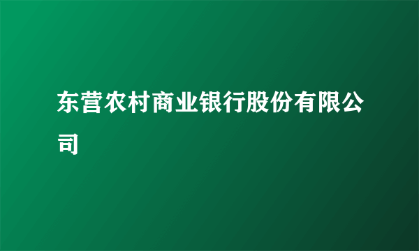 东营农村商业银行股份有限公司