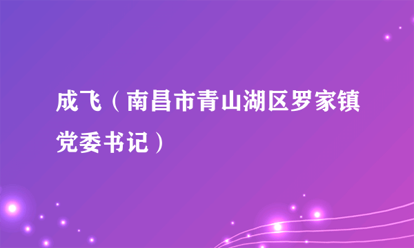 成飞（南昌市青山湖区罗家镇党委书记）