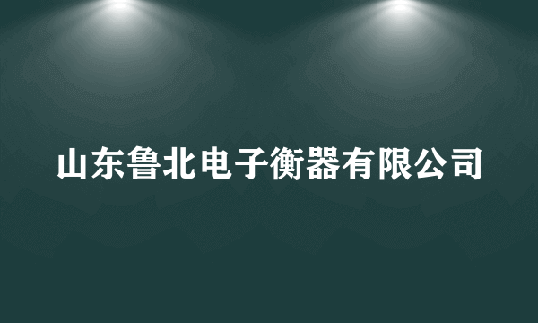 山东鲁北电子衡器有限公司