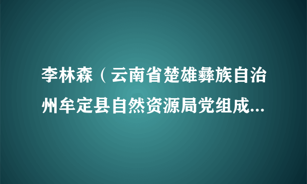 李林森（云南省楚雄彝族自治州牟定县自然资源局党组成员、副局长）