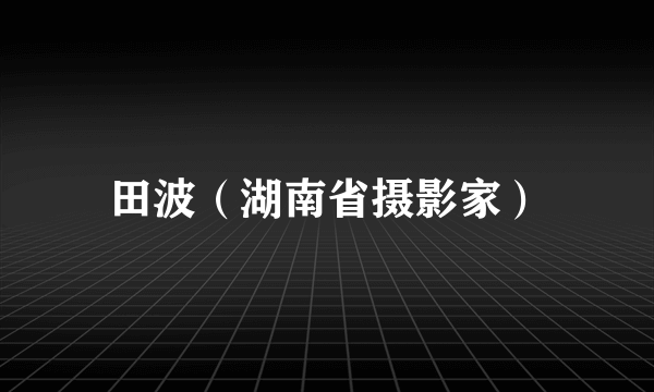 田波（湖南省摄影家）