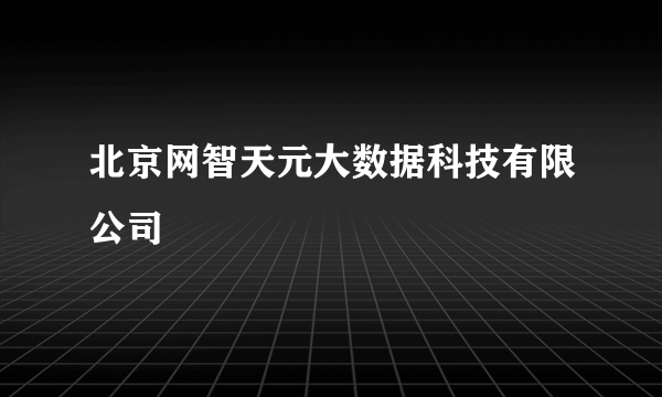 北京网智天元大数据科技有限公司