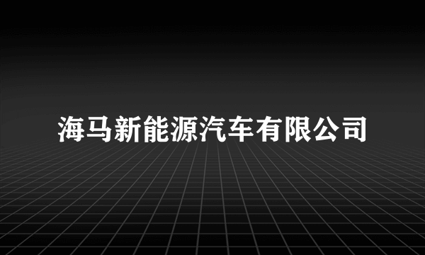 海马新能源汽车有限公司