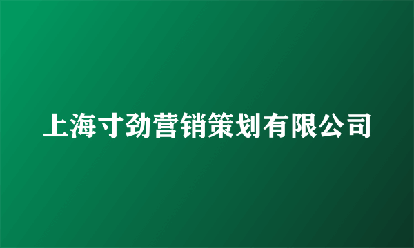 上海寸劲营销策划有限公司