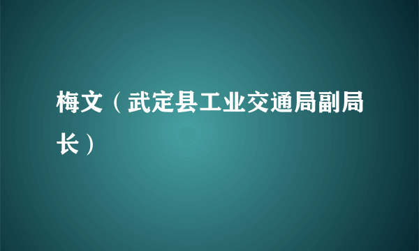 梅文（武定县工业交通局副局长）