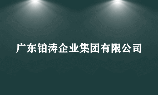 广东铂涛企业集团有限公司