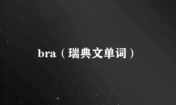 bra（瑞典文单词）