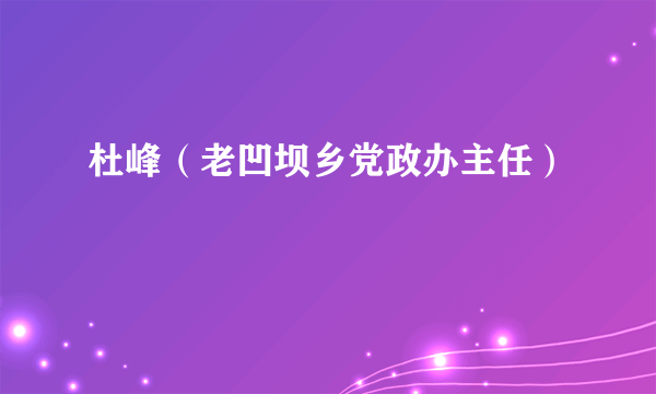 杜峰（老凹坝乡党政办主任）