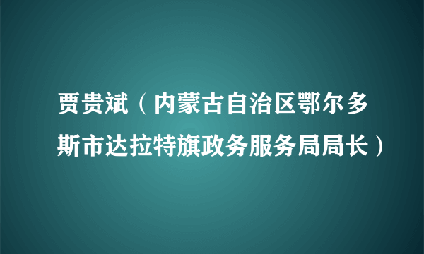 贾贵斌（内蒙古自治区鄂尔多斯市达拉特旗政务服务局局长）