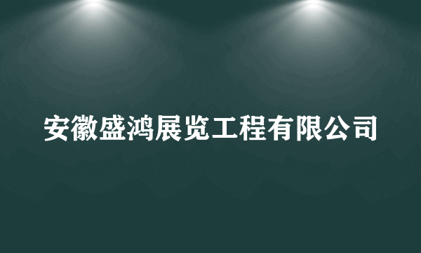 安徽盛鸿展览工程有限公司