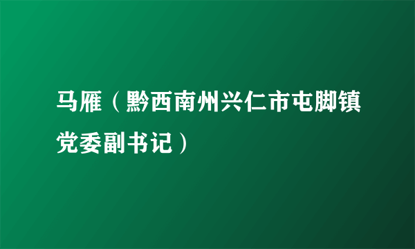 马雁（黔西南州兴仁市屯脚镇党委副书记）