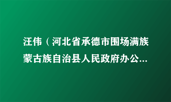 汪伟（河北省承德市围场满族蒙古族自治县人民政府办公室副主任、党组成员）