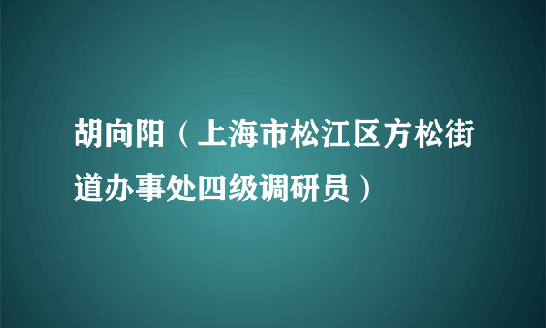 胡向阳（上海市松江区方松街道办事处四级调研员）