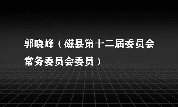 郭晓峰（磁县第十二届委员会常务委员会委员）