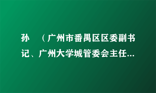 孙玥（广州市番禺区区委副书记、广州大学城管委会主任、小谷围街党工委书记）