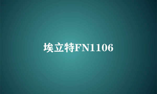 埃立特FN1106