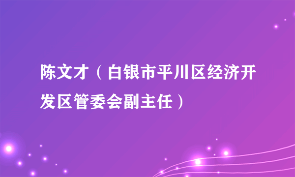 陈文才（白银市平川区经济开发区管委会副主任）