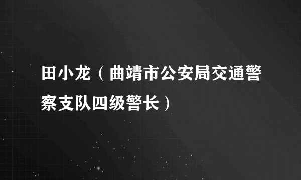 田小龙（曲靖市公安局交通警察支队四级警长）