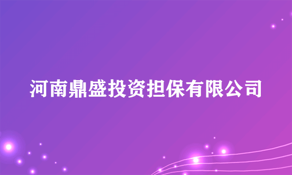 河南鼎盛投资担保有限公司