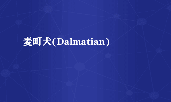 麦町犬(Dalmatian)