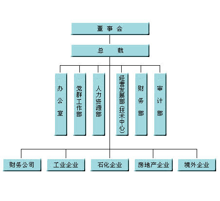 集团组织结构