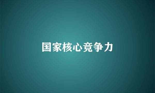 国家核心竞争力