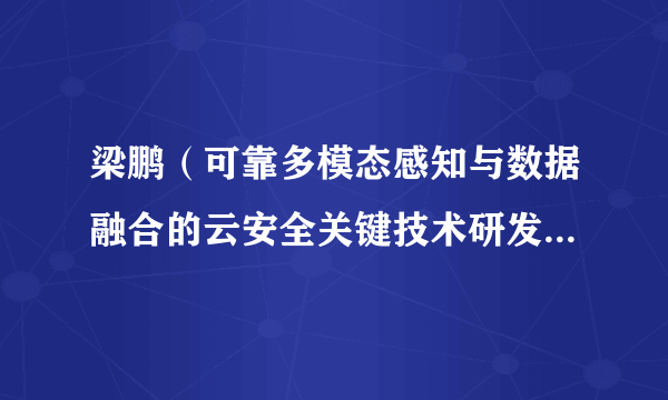 梁鹏（可靠多模态感知与数据融合的云安全关键技术研发及应用项目主要完成人）