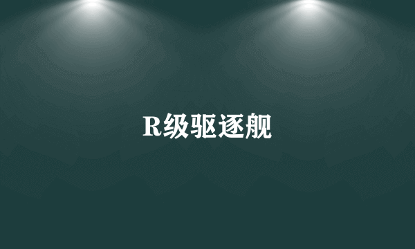 R级驱逐舰