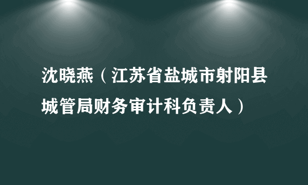 沈晓燕（江苏省盐城市射阳县城管局财务审计科负责人）