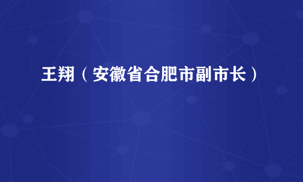 王翔（安徽省合肥市副市长）