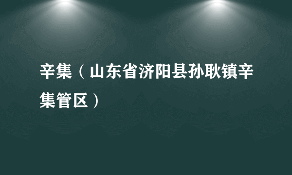 辛集（山东省济阳县孙耿镇辛集管区）