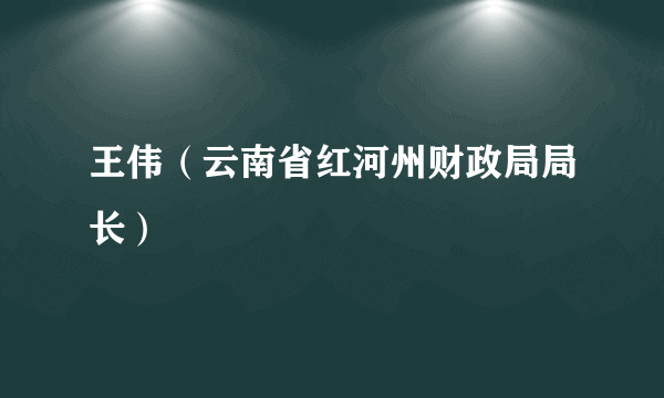 王伟（云南省红河州财政局局长）