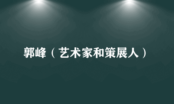 郭峰（艺术家和策展人）