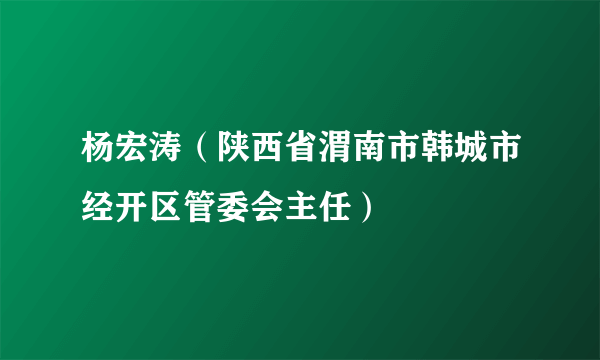 杨宏涛（陕西省渭南市韩城市经开区管委会主任）