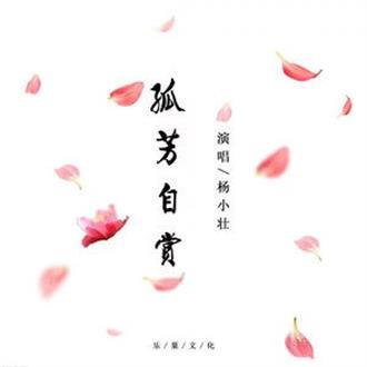 孤芳自赏（杨小壮演唱歌曲）