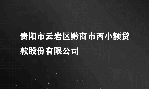 贵阳市云岩区黔商市西小额贷款股份有限公司