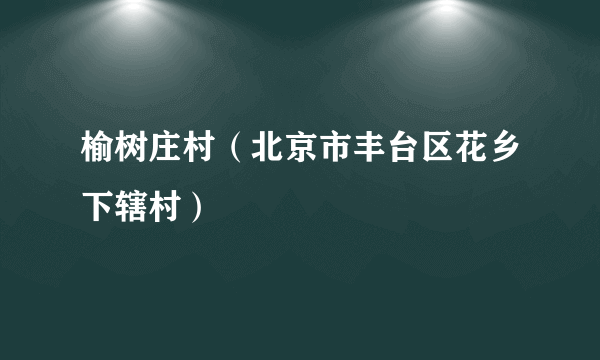 榆树庄村（北京市丰台区花乡下辖村）