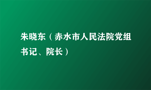 朱晓东（赤水市人民法院党组书记、院长）