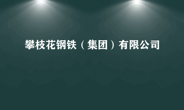 攀枝花钢铁（集团）有限公司