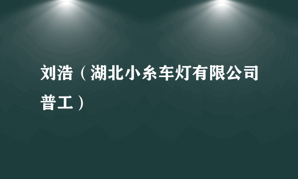 刘浩（湖北小糸车灯有限公司普工）